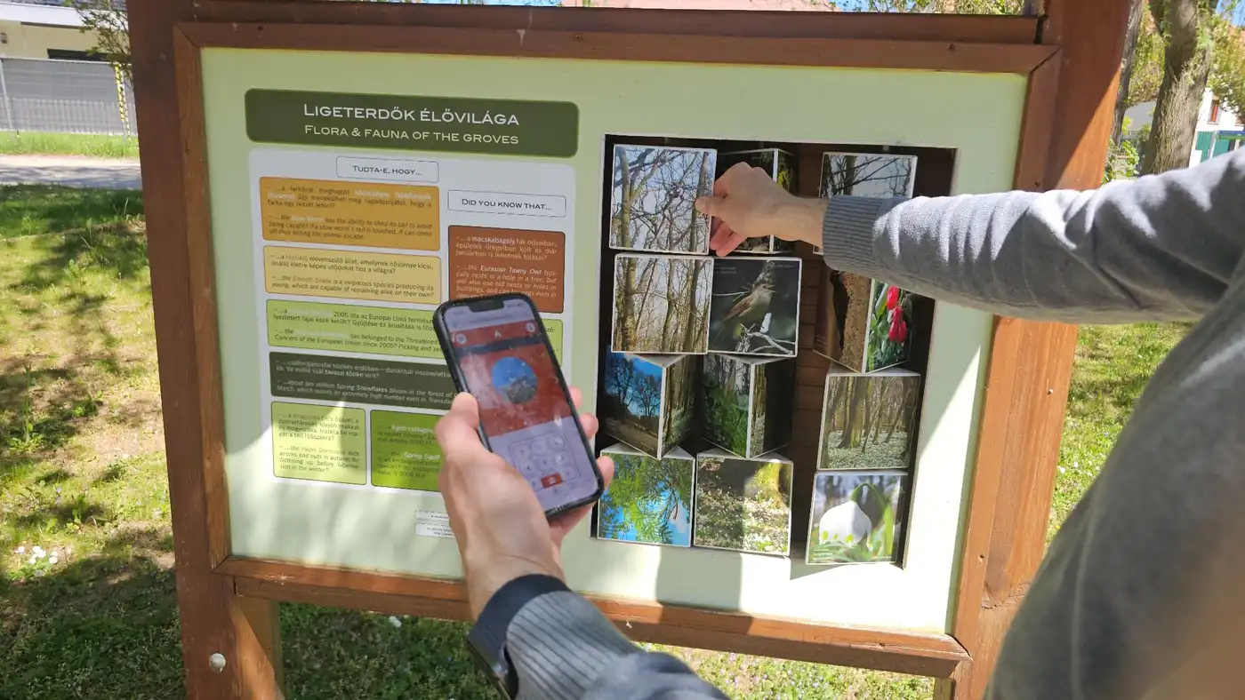 egy férfi mobillal Landventure szabadtéri szabadulós játékot játszik Bükön, a Répcementi tanösvény egyik táblája mellett